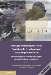 Capa do artigo Intergenerational Justice In Sustainable Development Treaty Implementation