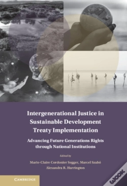 Capa do artigo Intergenerational Justice In Sustainable Development Treaty Implementation