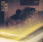 Interior Live Oak - Vinil - Preview