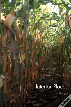 Capa do artigo Interior Places