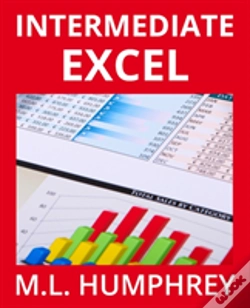 Capa do artigo Intermediate Excel