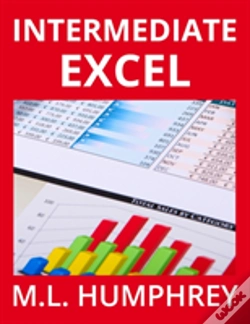 Capa do artigo Intermediate Excel