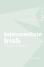 Intermediate Irish: A Grammar And Workbook - Preview