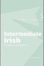 Intermediate Irish: A Grammar And Workbook - Preview