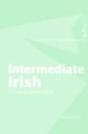 Intermediate Irish: A Grammar And Workbook - Preview