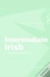 Intermediate Irish: A Grammar And Workbook