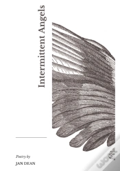 Capa do artigo Intermittent Angels