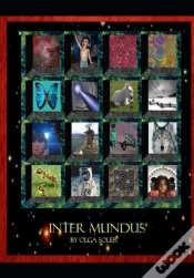 Capa do artigo Intermundus