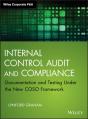 Internal Control Audit And Compliance - Preview