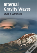 Internal Gravity Waves