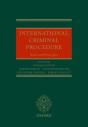 International Criminal Procedure - Preview