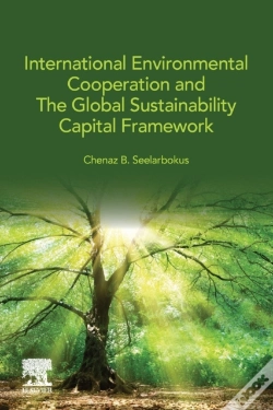 Capa do artigo International Environmental Cooperation And The Global Sustainability Capital Framework