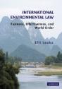 International Environmental Law - Preview