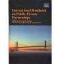 International Handbook On Public-Private Partnerships - Preview