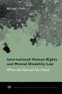 International Human Rights And Mental Disability Law - Preview