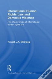 International Human Rights Law And Domestic Violence