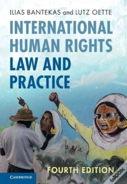 Capa do artigo International Human Rights Law And Practice