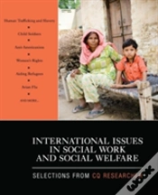 Capa do artigo International Issues In Social Work And Social Welfare