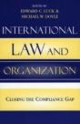 International Law And Organization - Preview