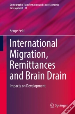 Capa do artigo International Migration, Remittances And Brain Drain
