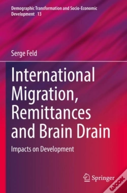 Capa do artigo International Migration, Remittances And Brain Drain