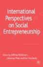 International Perspectives On Social Entrepreneurship - Preview