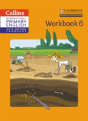 International Primary English As A Second Language Workbook Stage 6 - Preview
