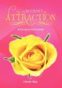 Internet Attraction - Preview