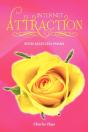 Internet Attraction - Preview
