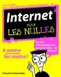Internet Pour Les Nulles - Preview
