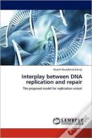 Interplay Between Dna Replication And Repair