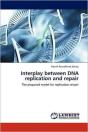 Interplay Between Dna Replication And Repair - Preview