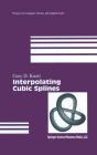 Interpolating Cubic Splines - Preview