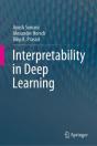 Interpretability In Deep Learning - Preview