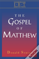 Interpreting Biblical Texts