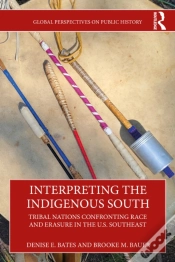 Capa do artigo Interpreting The Indigenous South