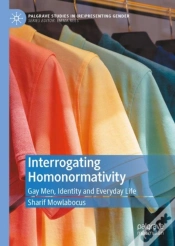 Capa do artigo Interrogating Homonormativity