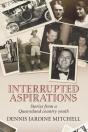 Interrupted Aspirations - Preview