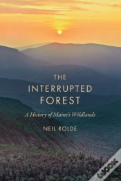 Capa do artigo Interrupted Forest