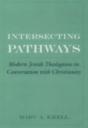 Intersecting Pathways - Preview