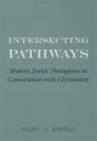 Intersecting Pathways - Preview