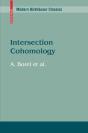 Intersection Cohomology - Preview