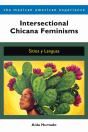 Intersectional Chicana Feminisms - Preview