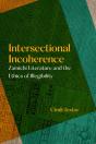 Intersectional Incoherence - Preview