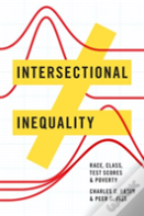 Intersectional Inequality