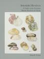 Intertidal Bivalves - Preview