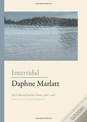 Capa do artigo Intertidal