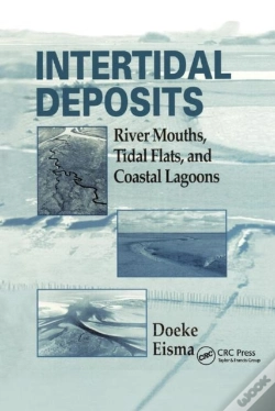 Capa do artigo Intertidal Deposits