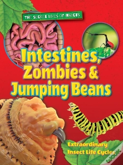 Capa do artigo Intestines, Zombies And Jumping Beans