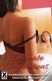 Capa do artigo Intimate Negotiations